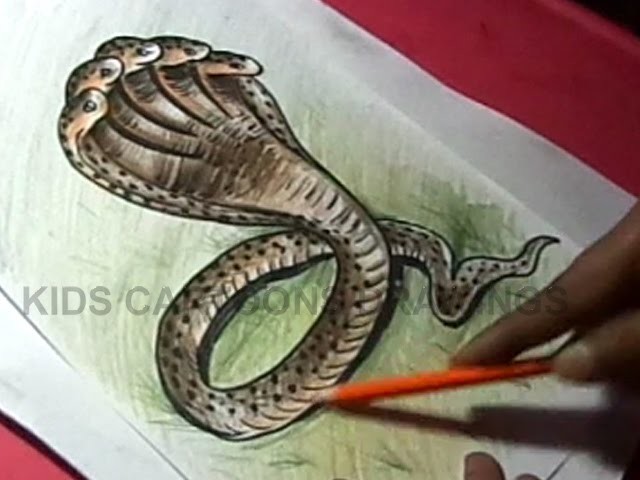 How to Draw five heads snake Detailed Drawing Step by Step
