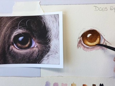 How to Paint a dog's brown eye