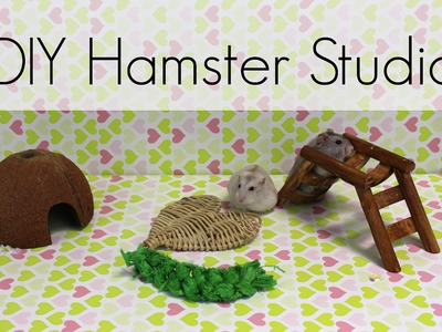 DIY Hamster Studio