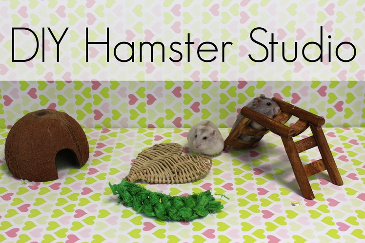DIY Hamster Studio