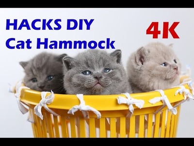 How to make a Cat Bed Hammock DIY Tutorial 4K
