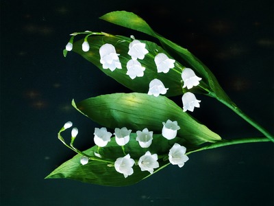 Lily Of The Valley From Crepe Paper - Craft Tutorial
