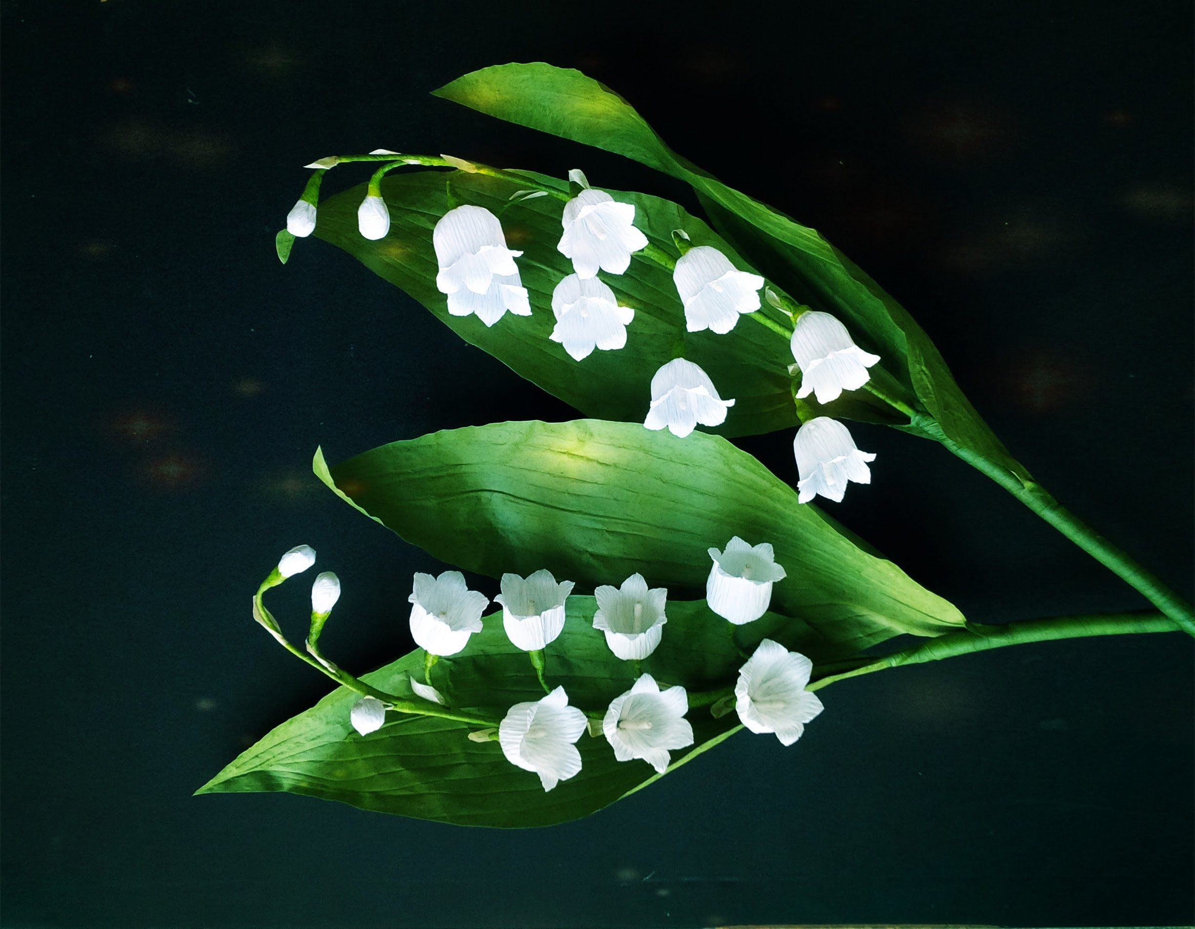 Lily of the valley from crepe paper craft tutorial