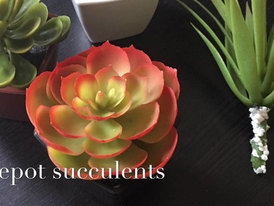 DIY Succulent Phone Charger