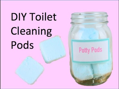 DIY Toilet Cleaning Pods