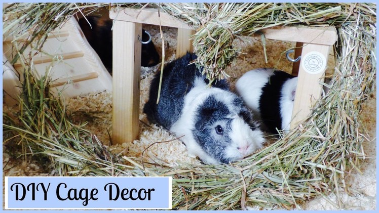 Guinea Pig DIY Cage Decor