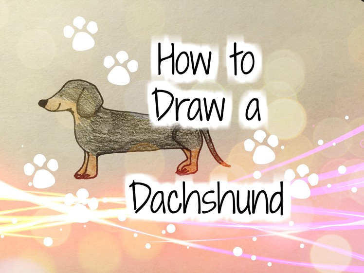 How to Draw a Dachshund