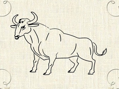 How to draw a bull