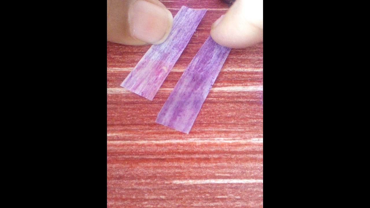How to make litmus paper at home super easy