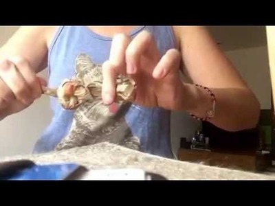 DIY Cat Toy from Plastic Grocery Bag