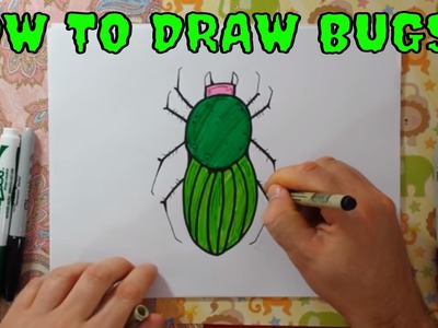 How to draw Bugs Learning to Color and Draw Insects