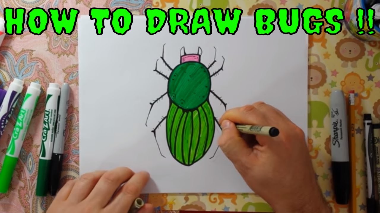 How To Draw Bugs Learning To Color And Draw Insects