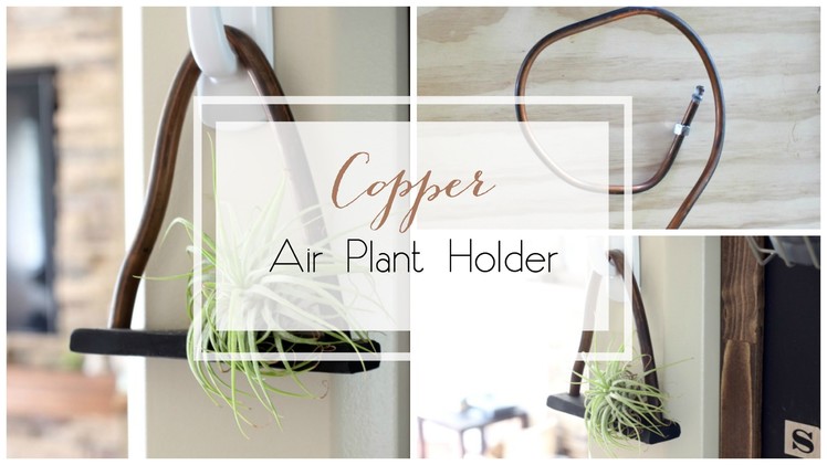 DIY Copper Air Plant Holder