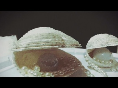 DIY OSTRA 