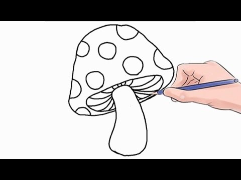 How to Draw a Mushroom Easy Step by Step