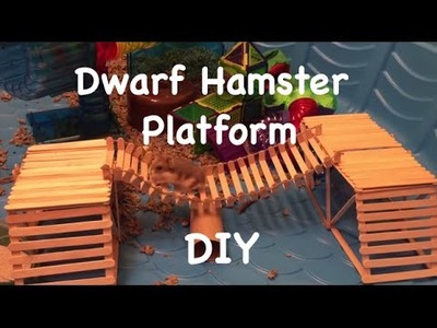 DIY Dwarf Hamster Platform