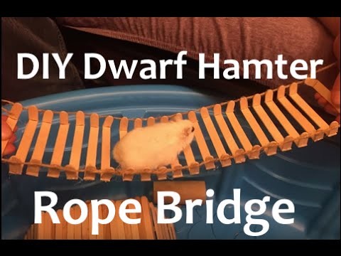 DIY Dwarf Hamster Rope Bridge