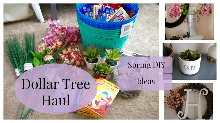 Dollar Tree Haul + Spring DIY Ideas | 2016