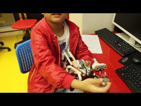 IW- DIY Lv 1 Dinosaur
