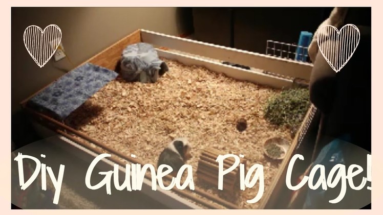 DIY Guinea Pig cage! How I built my new cage!