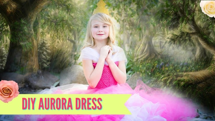 DIY Sleeping Beauty Aurora Dress Costume TUTU