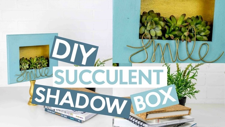DIY Succulent Shadow Box