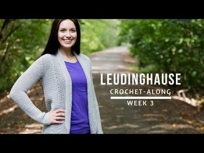 Leudinghause Crochet-Along: Week 3