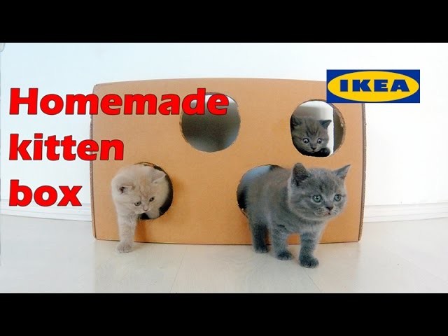 Cardboard cat box - How to make a kittens playground IKEA box 4K
