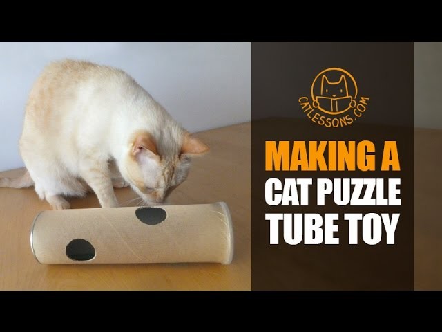 How to Make a Puzzle Tube Toy for your Cat