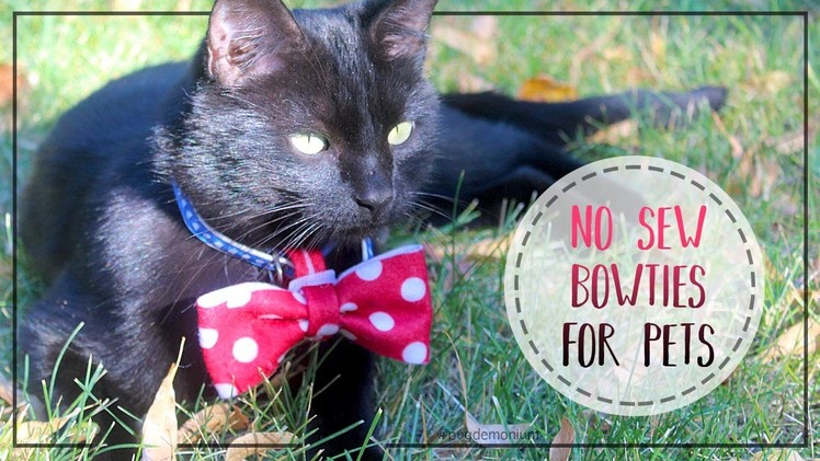 How To Make No-Sew Bow Ties For Pets