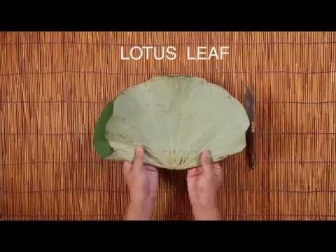 Sakul Intakul HOW-TO ep. 2 'LOTUS SQUARE' Modern Asian