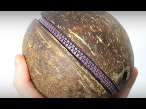 How to make a coconut jewel-box