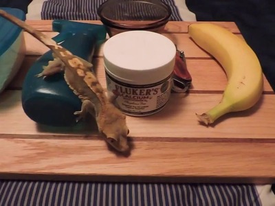How to make a quick and easy crested gecko treat!!!