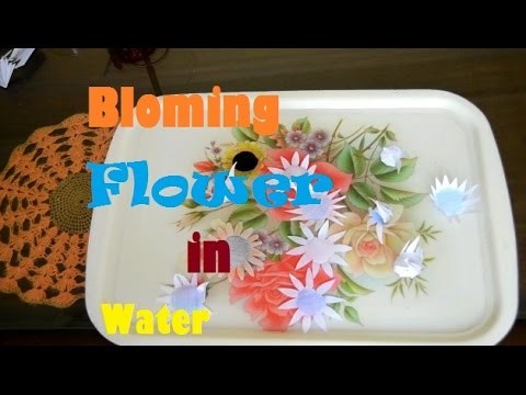 HOW to MAKE Blooming Flower Trick Just Add Water With Help of White Paper