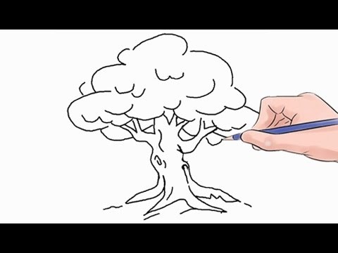 How to Draw a Tree Easy Step by Step