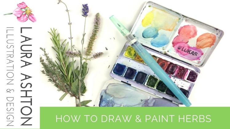 How to Draw and Paint Plants in Watercolour | Garden Herbs
