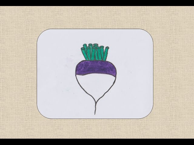 How to draw Turnip for kids