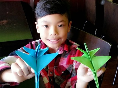 How to fold an origami f16 paper plane