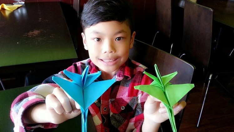 How to fold an origami f16 paper plane