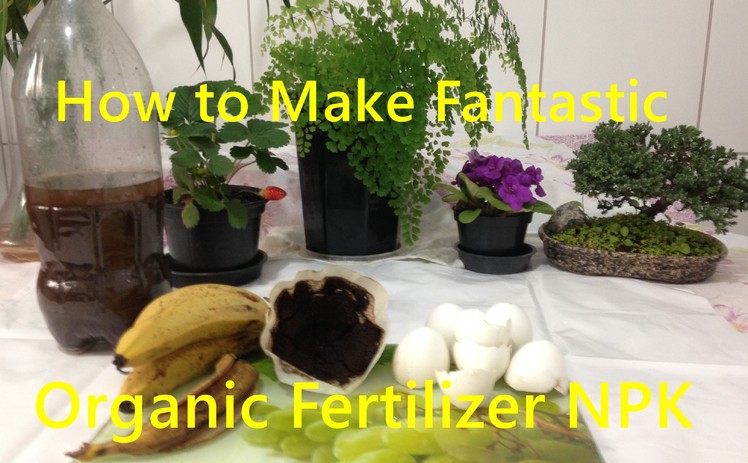 How to Make Organic Fertilizer for Your Vegetable Garden