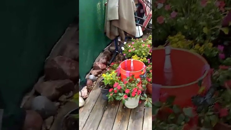 How to water your plants while on vacation.