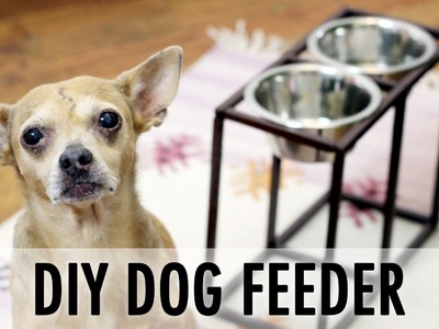 DIY Dog Feeder