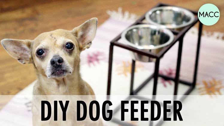 DIY Dog Feeder