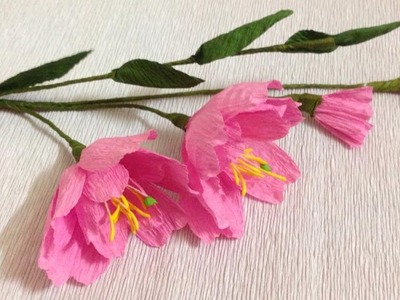 How to Make Cherry Blossoms Crepe Paper Flowers - Flower Making of Crepe Paper