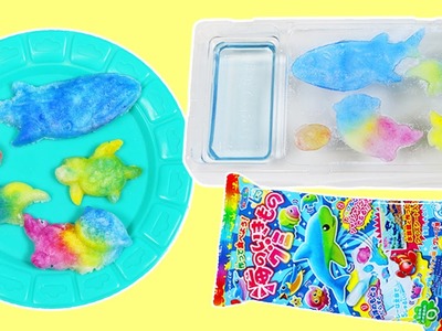 Kracie Popin Cookin DIY GUMMY Japanese Candy Whale, Turtle, Penguin, Ocean Animal Shapes!