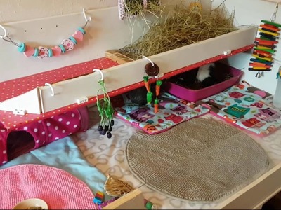 Guinea Pigs see their new DIY homemade cage. palace for the first time!
