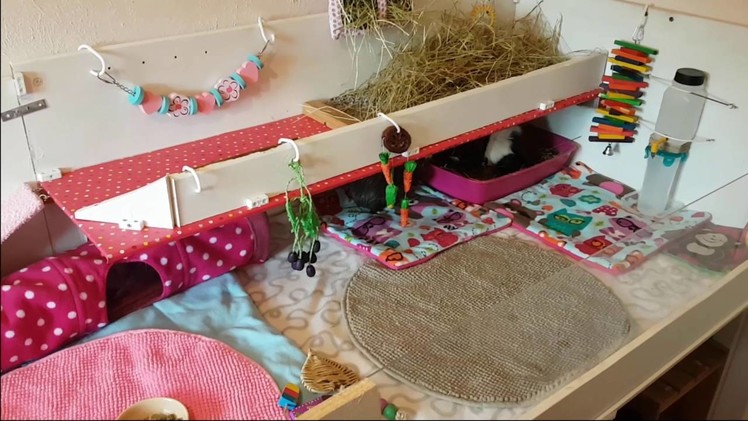 Guinea Pigs see their new DIY homemade cage. palace for the first time!