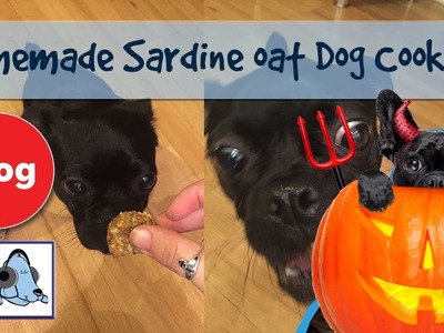Homemade Dog Treat Recipe - Sardine and Oat Cookies - DIY Treats for Dogs! #DOGGYBAKING05