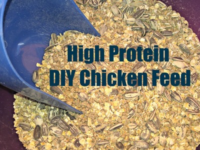 New food blend for molting hens in the fall! High protein DIY blend