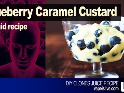 Blueberry Caramel Custard DIY EJuice Recipe
